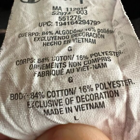 Champion L Reverse Weave Heavyweight Graphic Hooded Sweatshirt - Picture 8 of 8